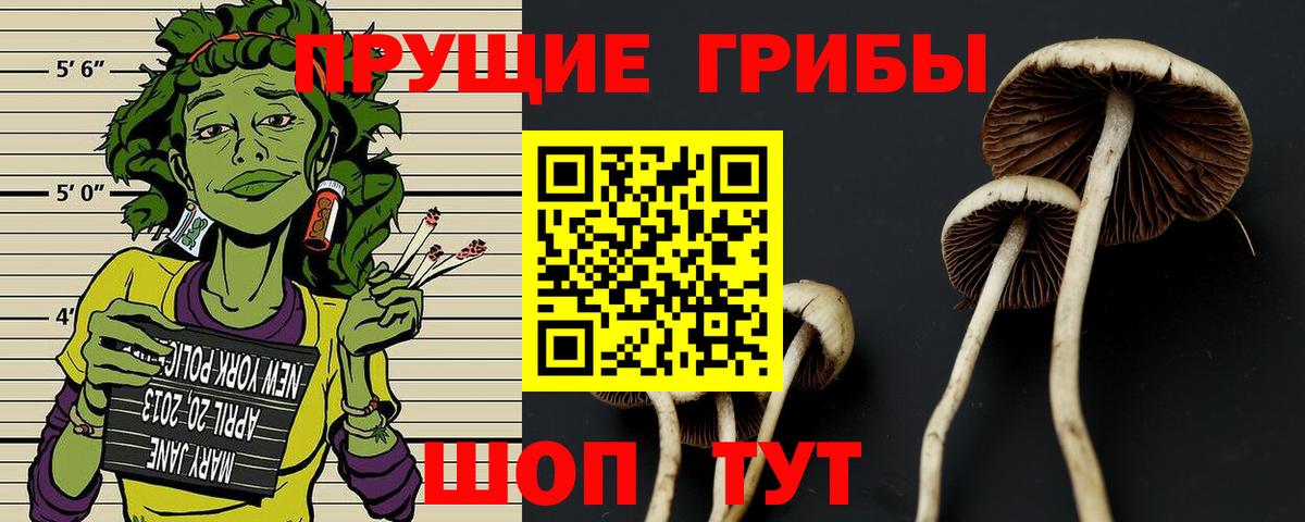 Псилоцибиновые грибы прущие грибы  Вход с VPN  Волгоград 