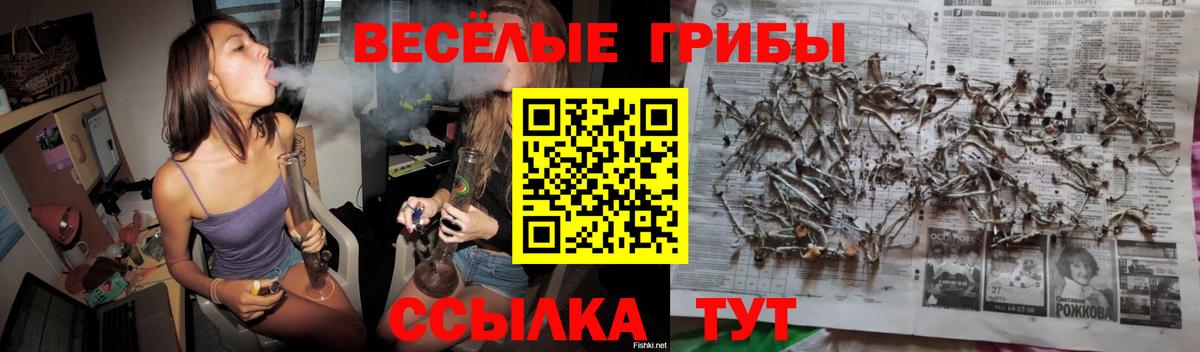 Псилоцибиновые грибы мухоморы Волгоград