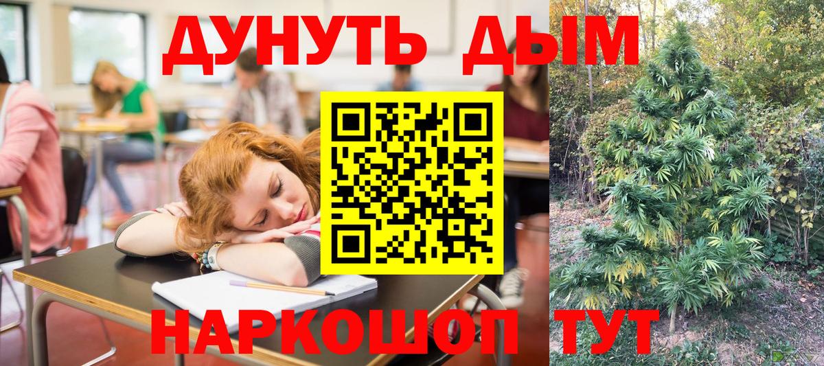 Волгоград  Бошки Шишки AK-47  Каннабис семена  Вход с VPN  Каннабис сатива 